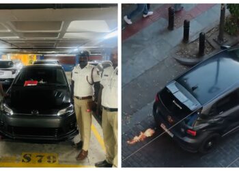 BeFunky collage (31)