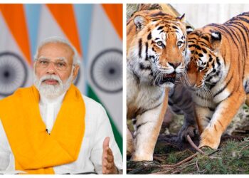 BeFunky collage (50)