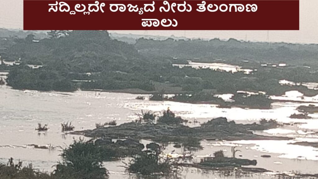 BeFunky collage (61)