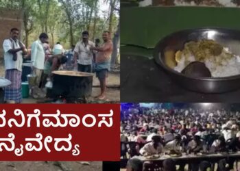 BeFunky collage (82)