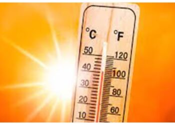 Befunky Collage (88)