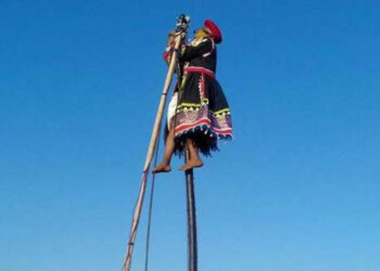 Untitled design (93)