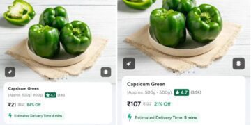 WhatsApp Image 2025 02 05 at 4.29.55 PM