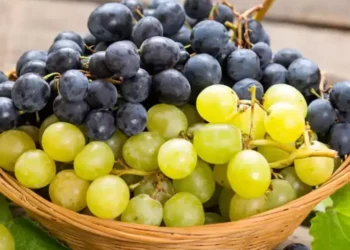 1742011965 grapes 3 2025 03 68c22538820508f178a947d21f381782