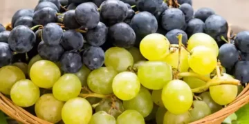 1742011965 grapes 3 2025 03 68c22538820508f178a947d21f381782