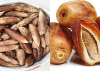 Befunky Collage 2025 03 01t153416.067