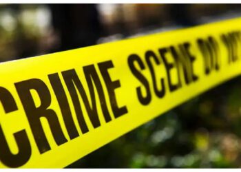 Befunky Collage 2025 03 04t141803.872