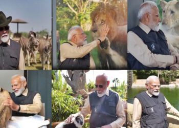 Befunky Collage 2025 03 04t204020.045