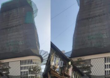 Befunky collage 2025 03 09t175506.425