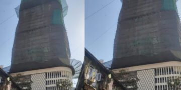 Befunky collage 2025 03 09t175506.425