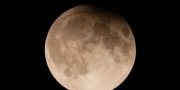 Befunky collage 2025 03 11t081906.009