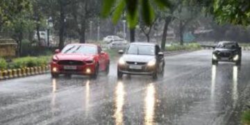 Befunky collage 2025 03 11t134754.718