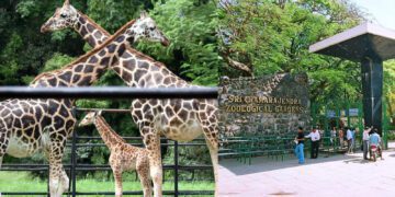 Befunky collage 2025 03 12t111437.322