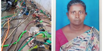 Befunky collage 2025 03 13t123502.307