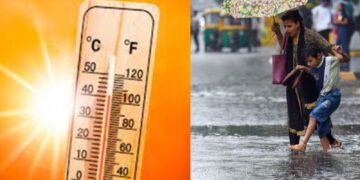 Befunky collage 2025 03 16t124400.841