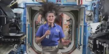 Befunky collage 2025 03 18t181506.997