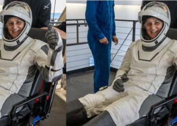 Befunky collage 2025 03 19t124022.916