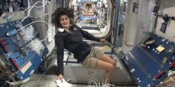 Befunky collage 2025 03 19t140513.616