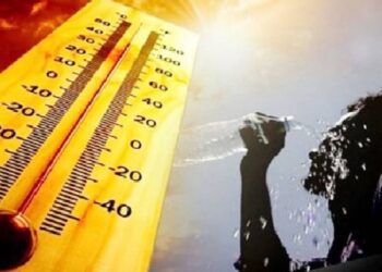 Untitled Design 2025 03 03t105259.785