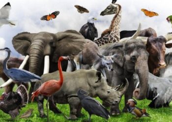 Untitled Design 2025 03 03t125915.966