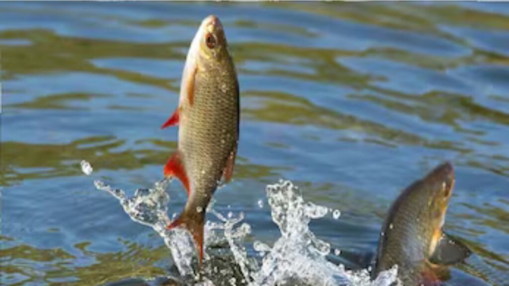 Untitled Design 2025 03 03t172135.507