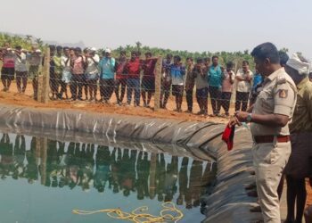 Untitled design 2025 03 06t154301.233