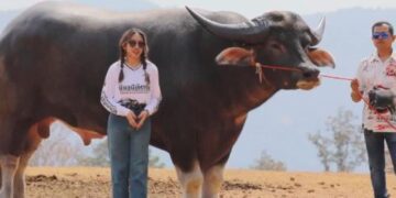 Untitled design 2025 03 06t164644.239