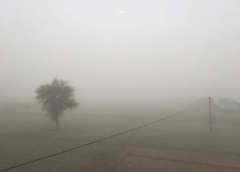 Untitled design 2025 03 07t085124.556