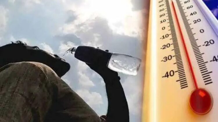 Untitled design 2025 03 20t082908.140