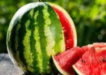 Untitled design 2025 03 21t155704.585