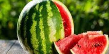 Untitled design 2025 03 21t155704.585