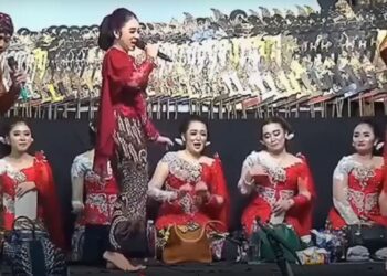 Untitled design 2025 03 25t170234.696