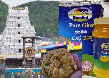 Untitled design (46)