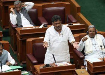 Untitled design (50)