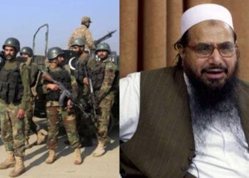 Untitled design (60)