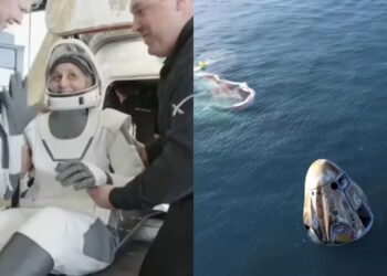 Untitled design (74)