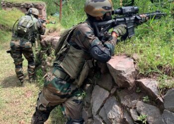 123 2025 04 24t113459.767