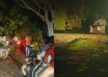 123 2025 04 25t082835.320