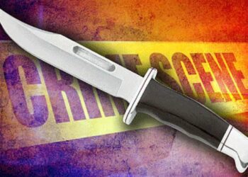 123 2025 04 26t103724.145