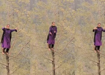 123 2025 04 28t122907.947