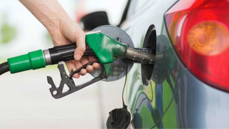 Untitled design 2025 04 02t081819.649