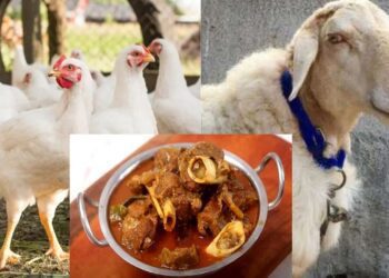 Untitled design 2025 04 05t075941.676