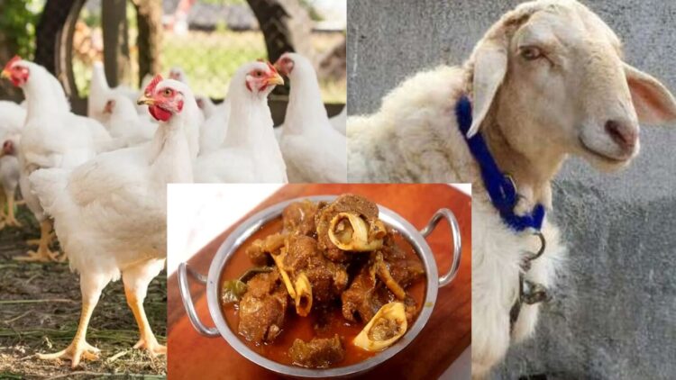 Untitled design 2025 04 05t075941.676