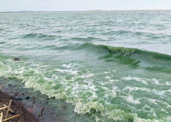 Untitled design 2025 04 10t162747.950