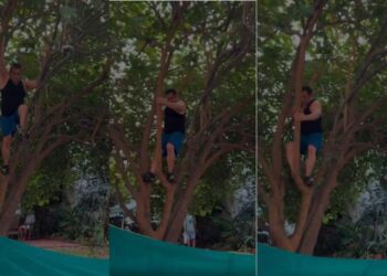 Untitled design 2025 04 11t221531.550