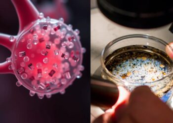 Untitled design 2025 04 20t125752.205