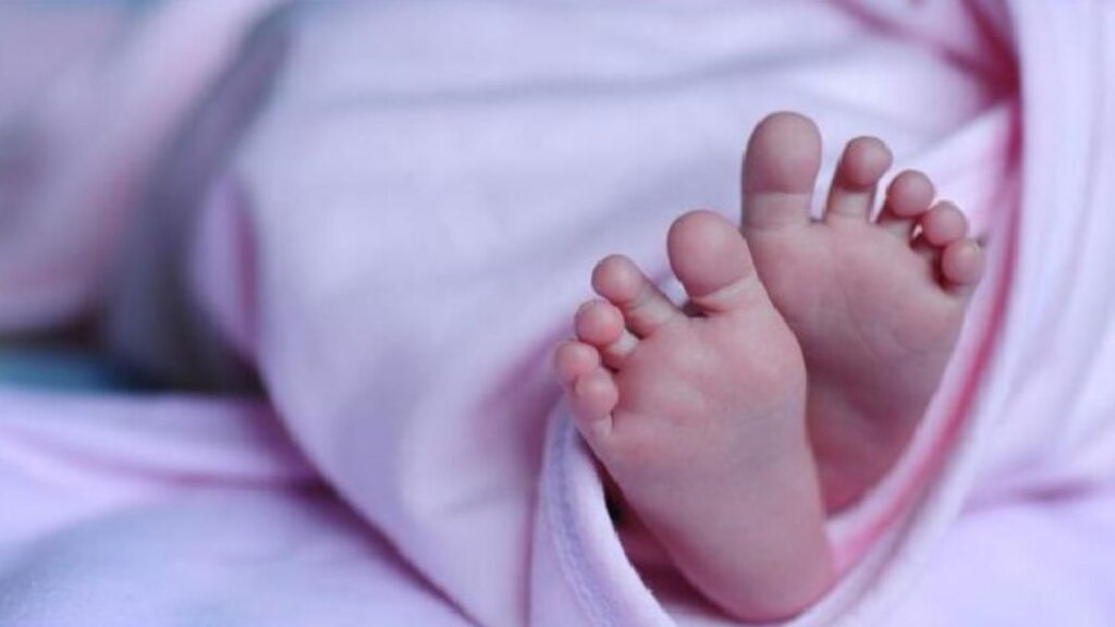 Untitled design 2025 04 22t171823.236