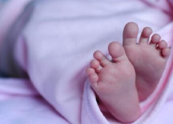 Untitled design 2025 04 22t171823.236