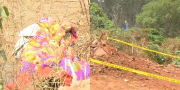 Film 2025 04 06t185401.143