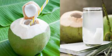 Film 2025 04 07t145648.363